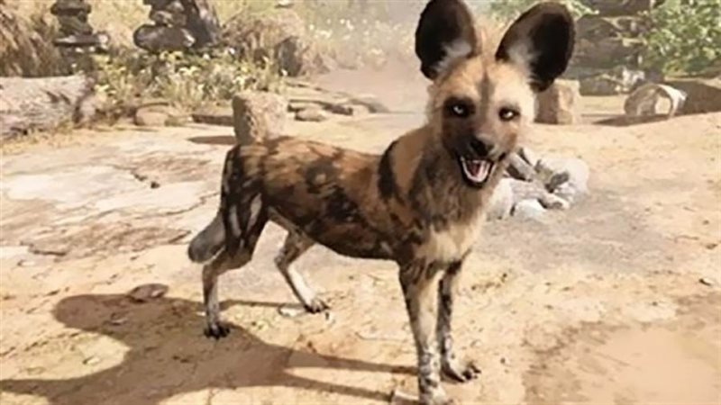 سلعوة أرشيفية