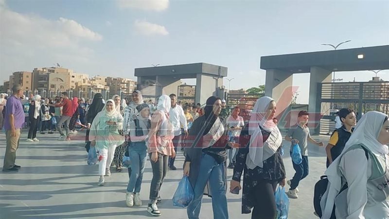 طلائع كفرالشيخ