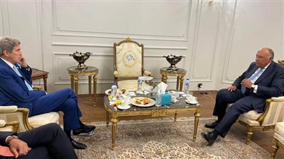 شكري يبحث مع 