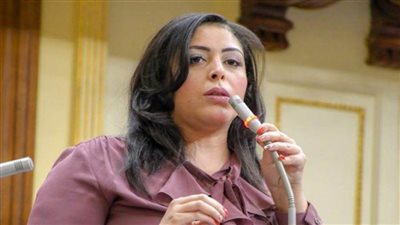 نائبة التنسيقية تدين بيان الحركة المدنية بشأن الحوار الوطني