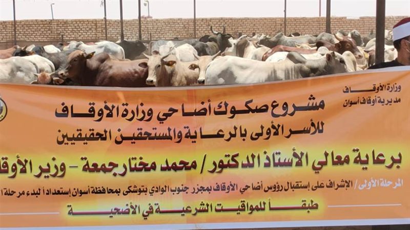 أضاحي الأوقاف