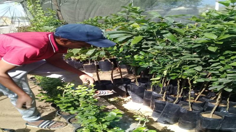 اتحضر للأخضر