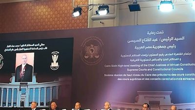 رئيس مجلس الشيوخ يطالب بإنشاء منظومة قارية للقضاة وإطلاق منصة تحوي دساتير الدول