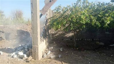 محافظ أسيوط بدء المرحلة الثانية من الموجة الـ20 وإزالة 36 حالة تعد