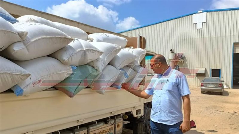 توريد الأرز