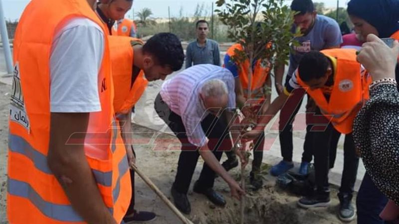 زراعة الأشجار