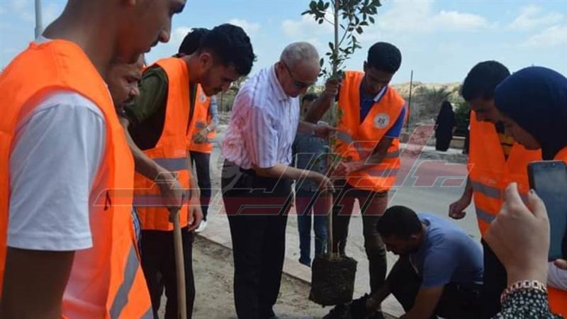 غرس الأشجار