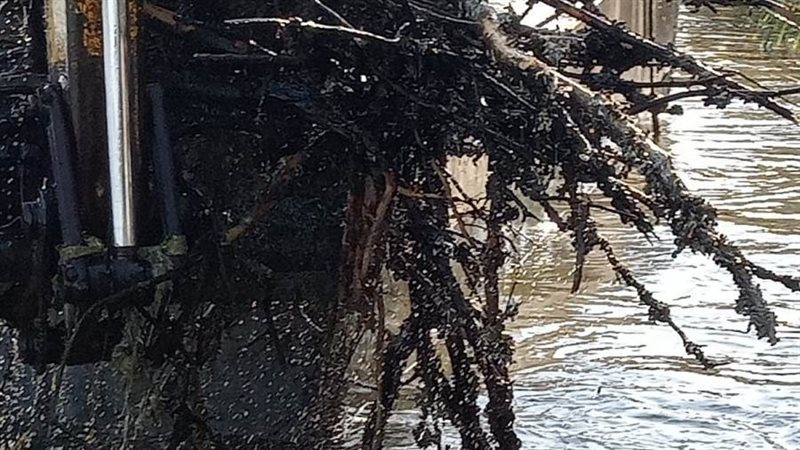 إزالة التعديات على