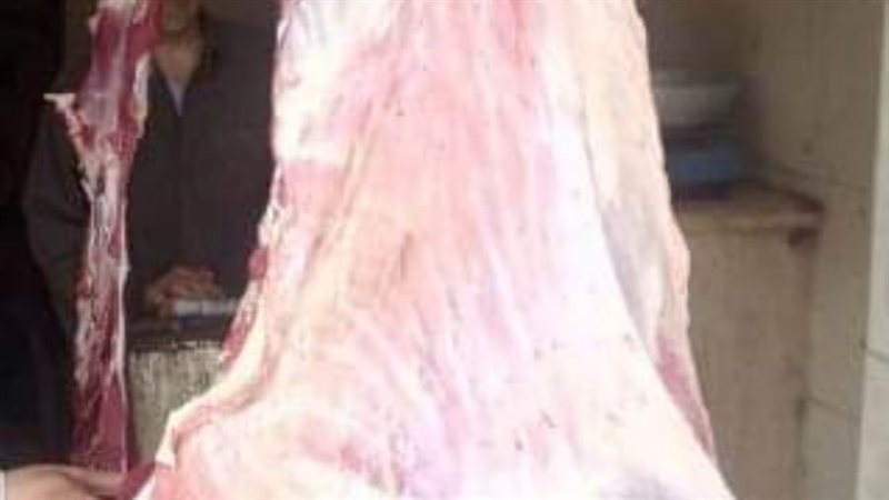 ضبط لحوم مخالفة