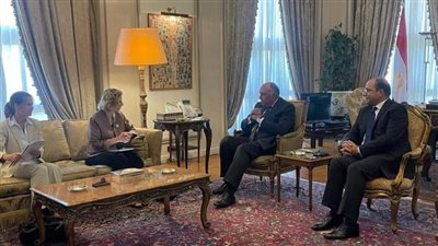 وزير الخارجية يتبادل الرؤى مع 