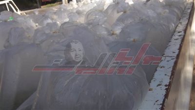 ضبط سيارة محملة بعدد 6500 وحدة زريعة طوبار بكفر الشيخ