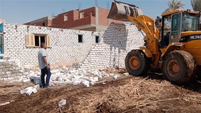 محافظ أسيوط إزالة 38 حالة تعدٍ على أملاك دولة وزراعة ضمن المرحلة الثانية من الموجة الـ20 