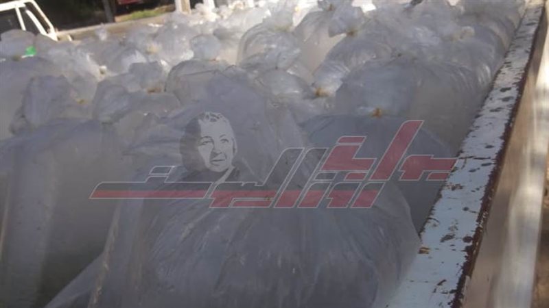 الزريعة المضبوطة