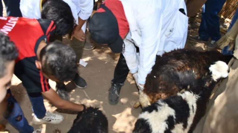 جانب من القافله