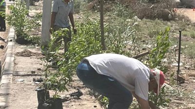 تدشين مبادرة زراعة 