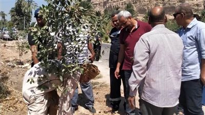 زرع 150 شجرة بمدخل قرى البداري ضمن فعاليات مبادرة 100 مليون شجرة 