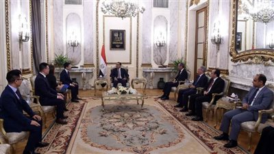 رئيس الوزراء يلتقي وفد 