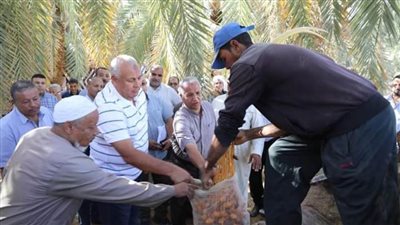 من مركز الداخلة محافظ الوادي الجديد يُطلق المبادرة المجتمعية 