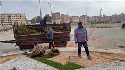 زراعة الأشجار بمدينة كفر الشيخ وتزيين محور سعد زغلول