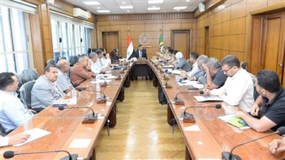 محافظ الدقهلية يتابع موقف تنفيذ مشروعات حياة كريمة بشربين