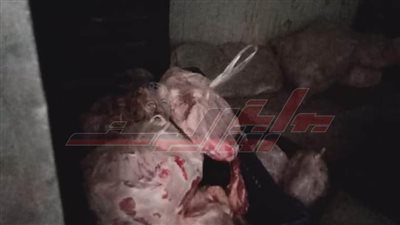 ضبط 876 كجم لحوم دواجن غير صالحة للاستهلاك الآدمي بكفر الشيخ