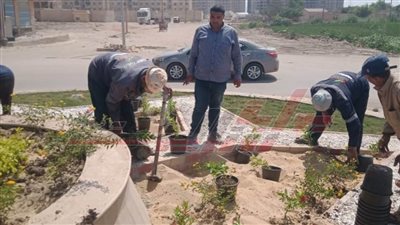 كفرالشيخ اليوم