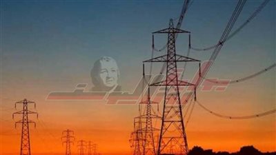 صيانة دورية وزراعة أعمدة بمحافظة كفر الشيخ