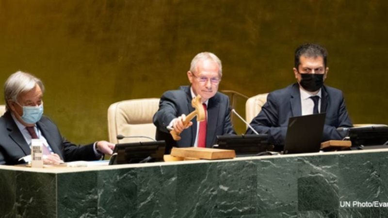 تشابا كوروشي