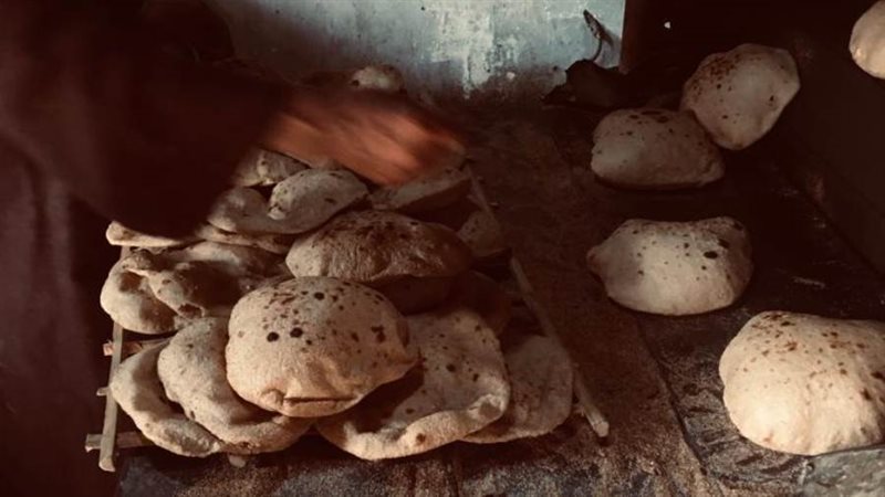 جانب من الحملات