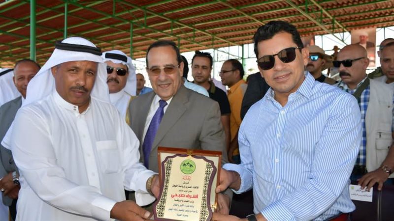 د. أشرف صبحى