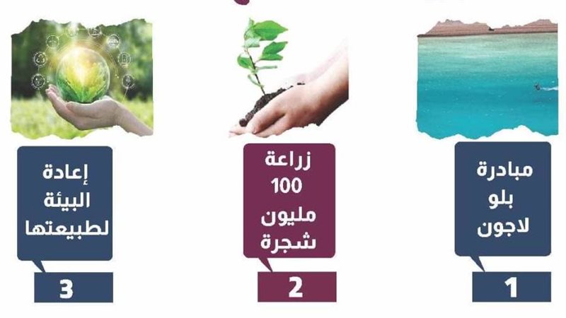 مبادرات مصرية