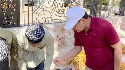 رئيس جامعة الوادي الجديد يشهد موسم حصاد التمور بمزرعة الجامعة