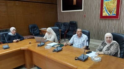 شمال سيناء.. اجتماع اللجنة التنفيذية للمبادرة الوطنية الخاصة بالتغيرات المناخية