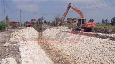 دسوق: تبطين الترع والرصف بالانترلوك وزراعة الاشجار وري الحدائق