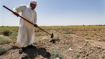 العراق يكشف عن مشروع متكامل للقضاء على التصحر