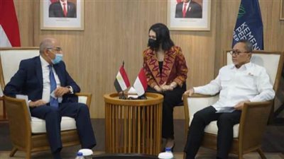 تفاصيل لقاء السفير المصري مع 