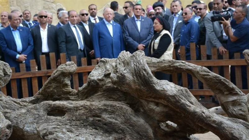 خلال الافتتاح