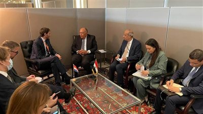 شكري يبحث مع وزير خارجية البرتغال القضايا الإقليمية والدولية واستضافة مصر لمؤتمر المناخ