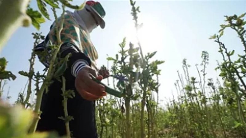 التغيرات المناخية