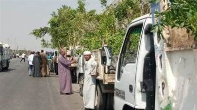 توزيع 3 آلاف شجرة