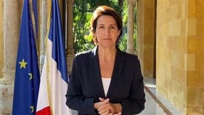 سفيرة فرنسا تؤكد ضرورة وجود حكومة كاملة الصلاحيات إلى جانب مجلس النواب بلبنان