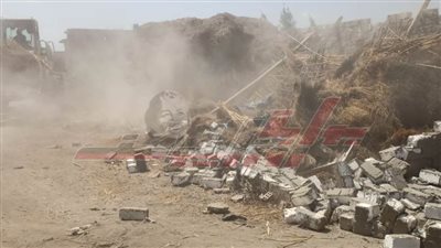 إزالة 115 حالة تعد ضمن الموجة 20 بكفر الشيخ