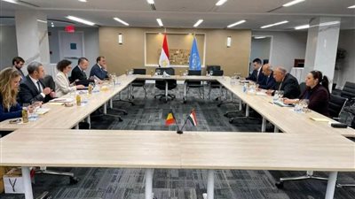 شكري يؤكد أهمية دعم اقتصاديات الدول النامية في مواجهة أزمتي الغذاء والطاقة