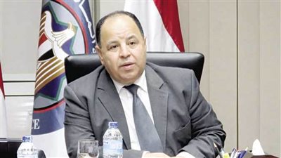 وزير المالية: أداء الاقتصاد المصري جيد ومحفز للاستثمار