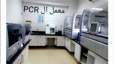 صحة المنيا عمل 49 ألفا و276 تحاليل مختلفة بمعامل المستشفيات 