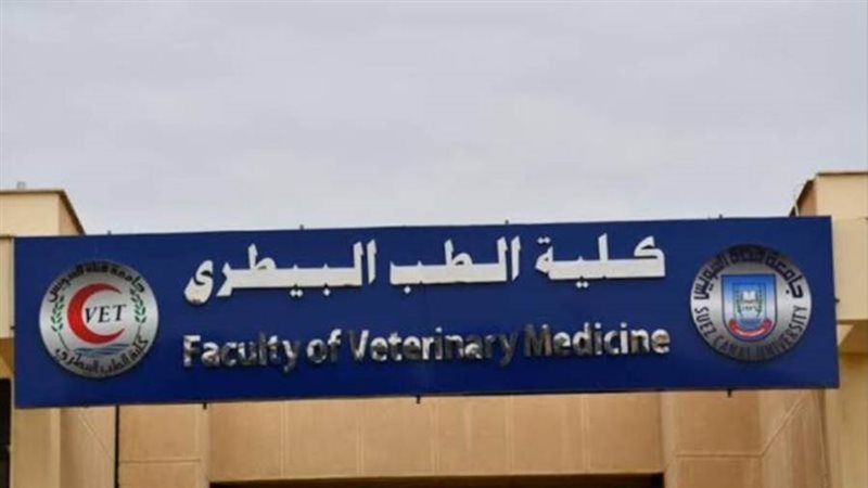 جامعة قناة السويس