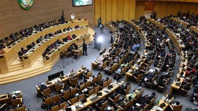 مفوضة الاتحاد الإفريقي المعنية بالمناخ تشيد بالتحضيرات الجارية من قبل الرئاسة المصرية لـcop27