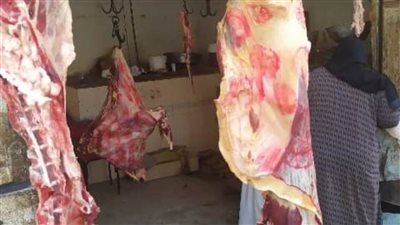 ضبط لحوم مجهولة المصدر خلال حملة تفتيشية بالشرقية 