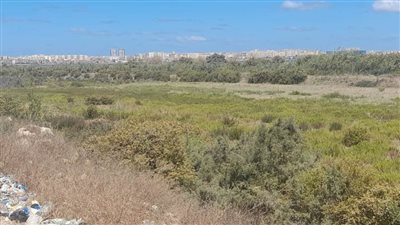 محافظ الإسكندرية: تنفيذ 50 قرارا لإزالة التعديات بنطاق أحياء وسط ومنتزه ثان وشرق