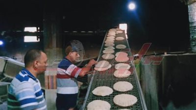 تموين كفرالشيخ يحرر 206 محاضر تموينية للمخالفين